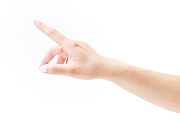 istock female's hand with index finger pointing upward 696169174