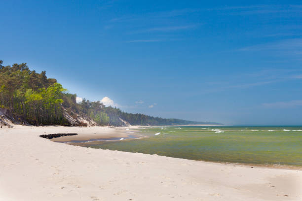 istock Sea water, beach and coastline with trees 696170602