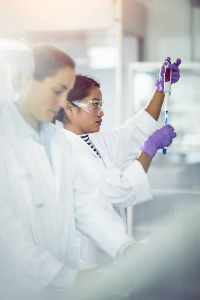 scientist pipetting into a test tube - laboratory pharmacy medicine research imagens e fotografias de stock