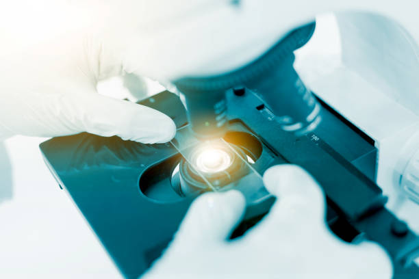 istock scientist hand holding laboratory test tube, science laboratory research and development concept 696186166
