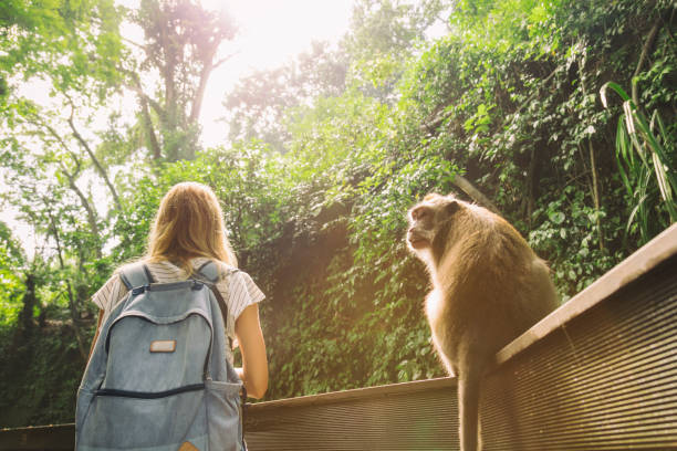 istock Cute girl with monkey in forest. 696186554