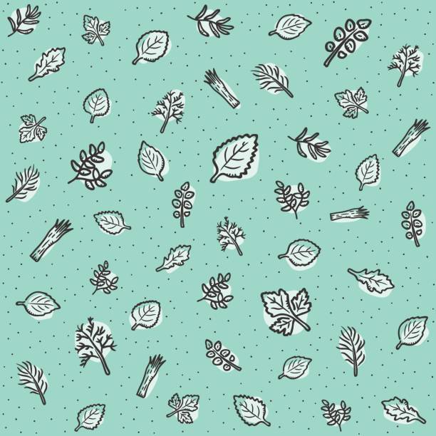grünen gewürz muster hintergrund. - parsley food green backgrounds stock-grafiken, -clipart, -cartoons und -symbole