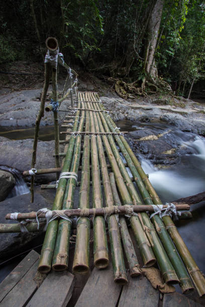 istock Bamboo bridge at Pa La-U Waterfall,Thailand 696210960