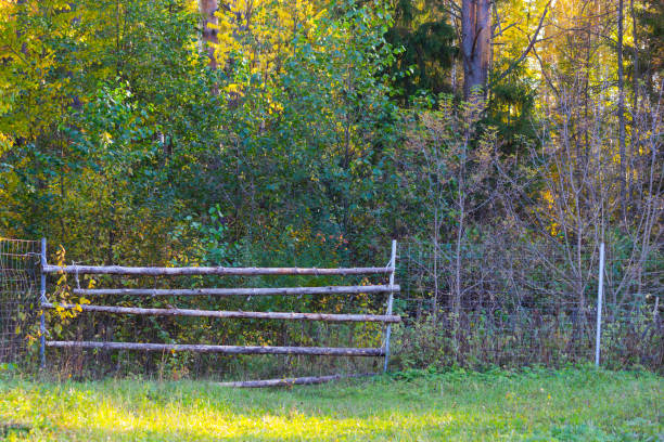 wooden fence in a park or a farm