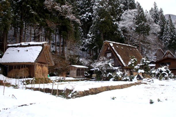 istock A Traditional Japanese Mountain Farm 696224514