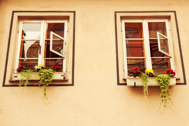 Windows with flowers on the windowsill outside