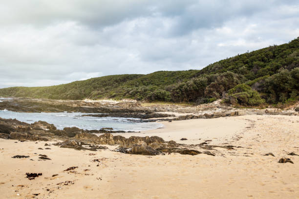 istock Landscape in Cape Conran with forest and beach, Australia. 696227690