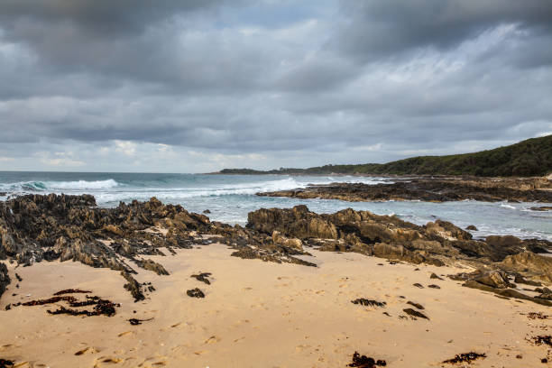 istock Beautiful beach in Cape Conran, Australia. 696227696