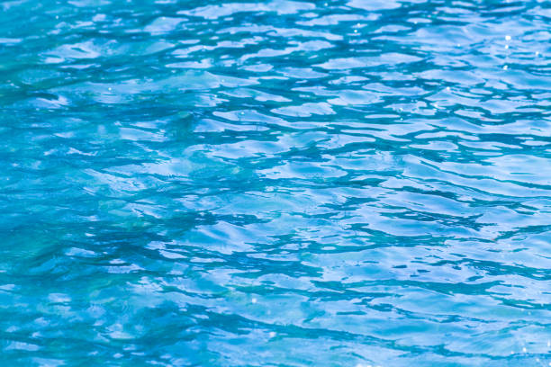 istock blue water in swimming pool 696230862
