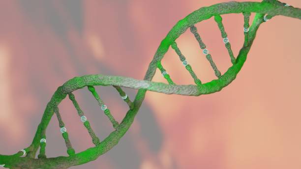 istock DNA strand helix concept, DNA research CRISPR 696240552
