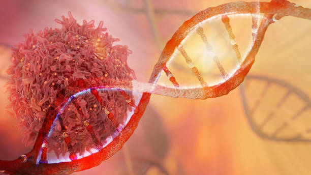 dna 鎖と癌細胞 - immunology ストックフォトと画像