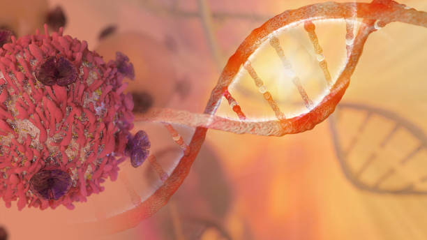 brin d’adn et de cellules cancéreuses - dna helix molecular structure chromosome photos et images de collection