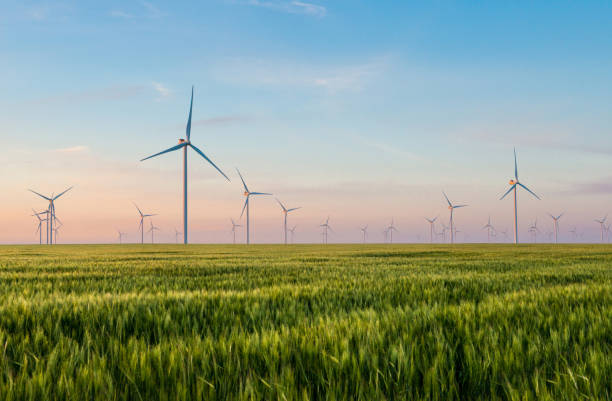 grupo de moinhos de vento para produção de energia elétrica no campo verde de trigo - moinho - fotografias e filmes do acervo