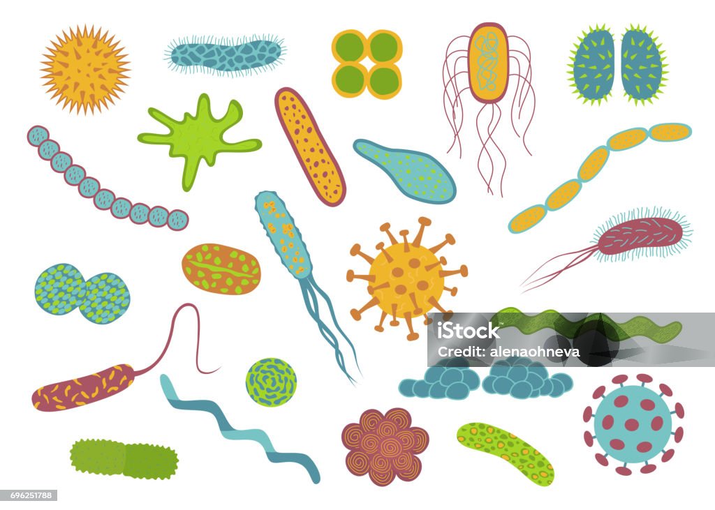 Flat design germs and bacteria icons set  isolated on white background. Flat design germs and bacteria icons set  isolated on white background.  Shape of bacterial cell: cocci, bacilli, spirilla.  Vector  illustration. Bacterium stock vector