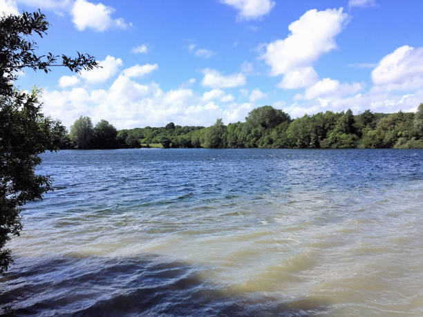 istock Lake and woodland in summer 696254718
