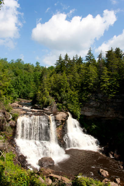 istock Black Water Falls State Park Davis West Virginia 696258542