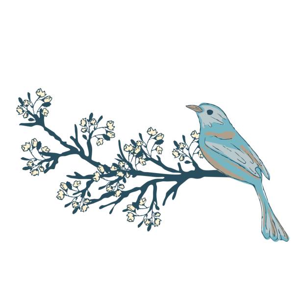 illustrations, cliparts, dessins animés et icônes de oiseau sur une branche de la floraison de l’arbre. - tree bird flower pattern