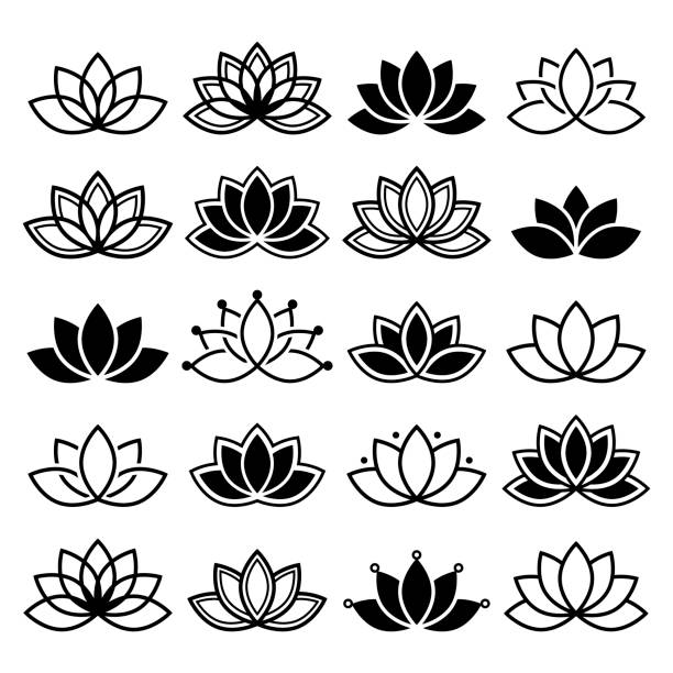 Lotus flower design, set, Yoga vector abstract collection Black and white lotus flowers icons, different shapes and styles lotus flower stock illustrations