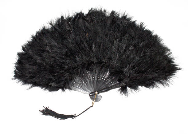 istock Vintage Hand Fan on White Background 696262376