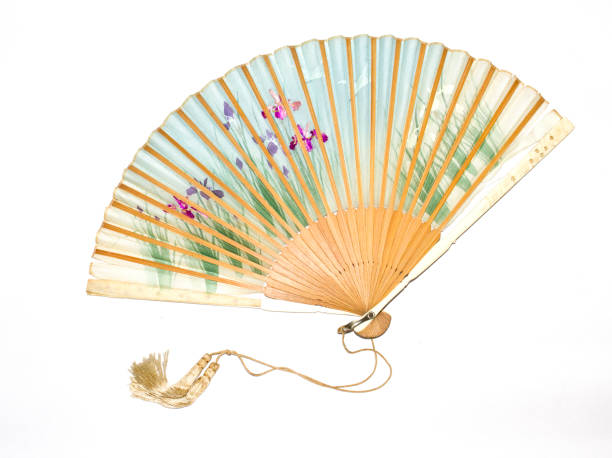 istock Vintage Hand Fan on White Background 696265062