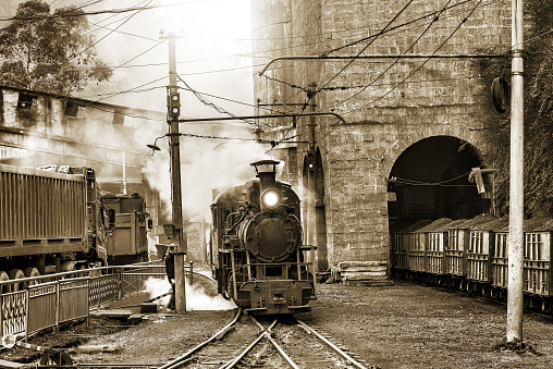 Steam narrow-gauge locomotive.