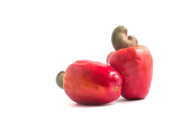 istock Cashews or Caju Fruit 696266086