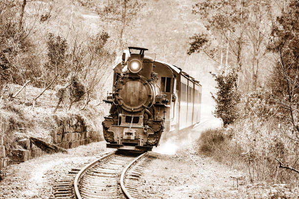 istock Steam narrow-gauge train. 696268938