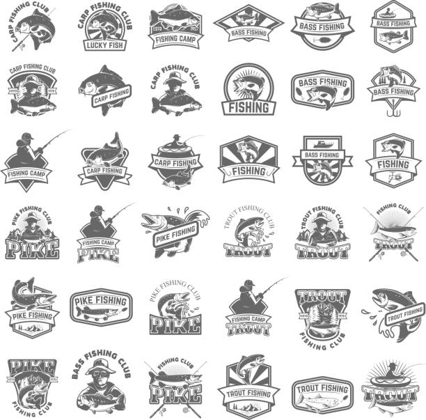 ilustrações de stock, clip art, desenhos animados e ícones de big set of fishing icons. carp fishing, trout fishing, bass fishing, pike fishing. design elements for label, emblem, sign. vector illustration. - trout fishing silhouette salmon