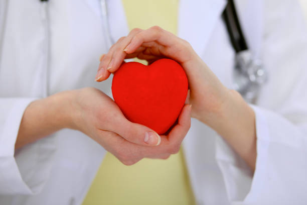 istock Female doctor with stethoscope holding heart. 696275042