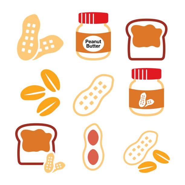 땅콩, 땅콩 버터-음식 벡터 아이콘 세트 - peanut allergy food fruit stock illustrations