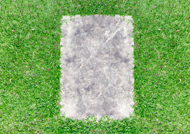 istock closeup green grass and cement frame with tex space. top view 696289104
