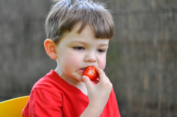 istock Little boy eating strawberry. 696299364