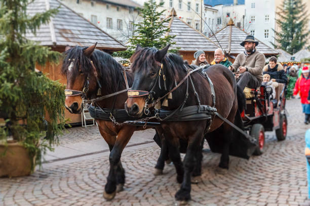 bressanone (brixen) at christmas, horse-drawn carriage - italy - bressanone imagens e fotografias de stock