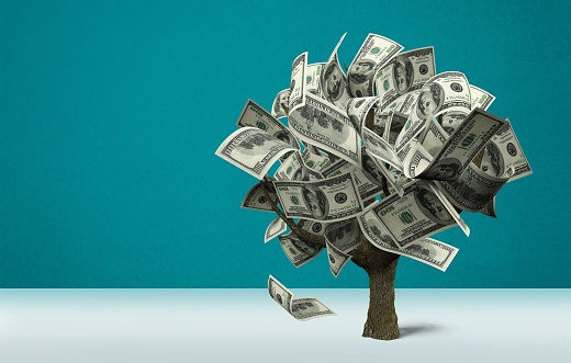 Money Tree with dollars on background