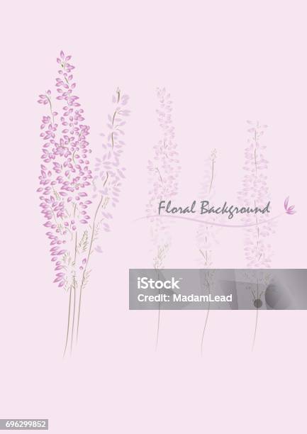 Pink Heather Flower Vector Background Stock Illustration - Download Image Now - Backgrounds, Beauty, Blossom