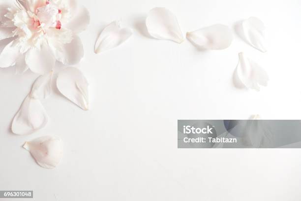 Wedding Styled Stock Photography With Peony Flower Head And Petals Lying On White Background Flat Lay Composition Empty Space For Your Text Beautiful Blank Card Or Birthday Invitation Stock Photo - Download Image Now