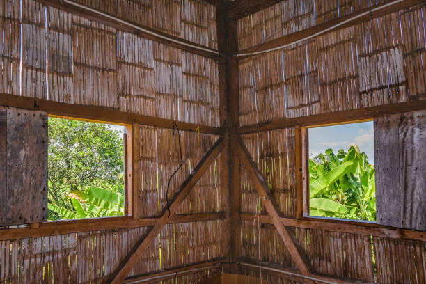 istock Traditional Ecuadorian Cane House Interior View 696304236