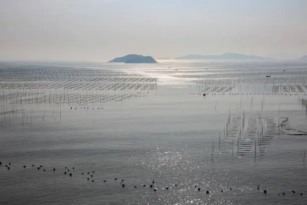 beautiful shallow sea and tidal flats landscape at dusk in xiapu county, China