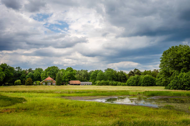 Walking towards a farm on a cloudy summer day day in June on the so-called 'Deldener Es' near the small city of Delden in a region called Twente, located in the province of Overijssel in the eastern part of the Netherlands near the German border.