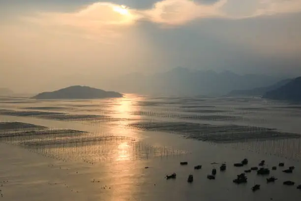 beautiful shallow sea and tidal flats sunset landscape in xiapu county, China