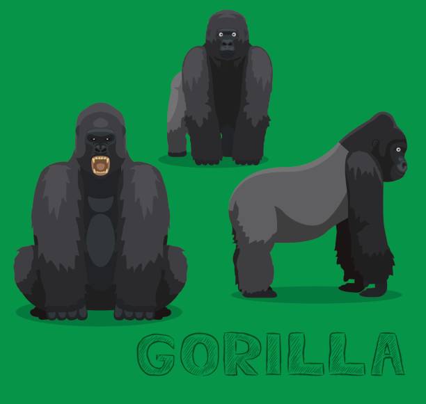 affe gorilla-cartoon-vektor-illustration - silberrucken gorilla stock-grafiken, -clipart, -cartoons und -symbole