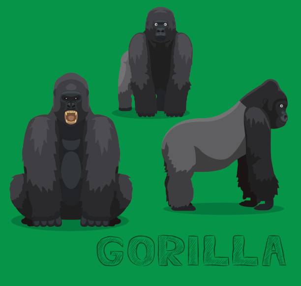 ape gorilla cartoon wektor ilustracja - gorilla zoo animal silverback gorilla stock illustrations