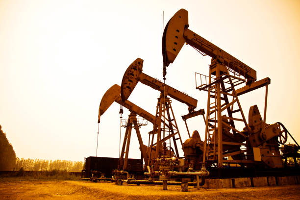 A royalty free image of a pumpjack in a farmer's wheatfield.