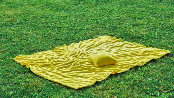 istock yellow pillow and blanket on the grass 696307370