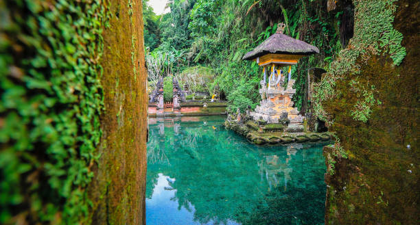 istock Gunung Kawi Sebatu Temple in Bali 696310412
