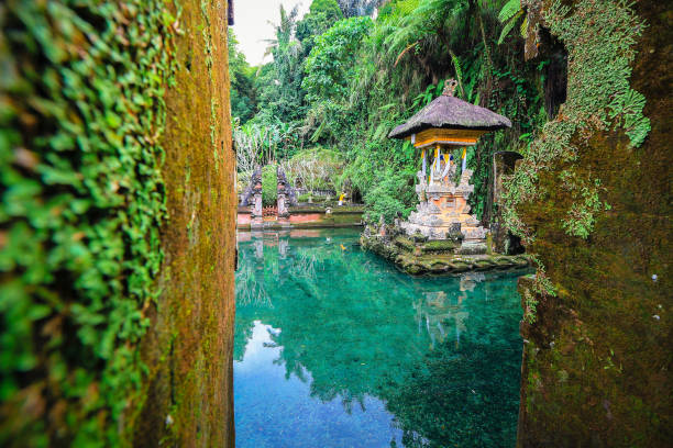 istock Gunung Kawi Sebatu Temple in Bali 696310416