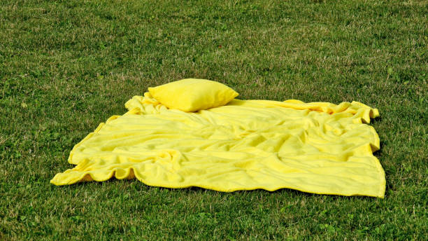 istock yellow pillow and blanket on the grass 696314030