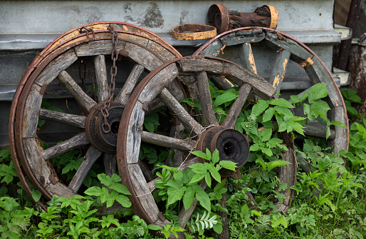 Old vintage wooden wheels in grass, rustic historical item.