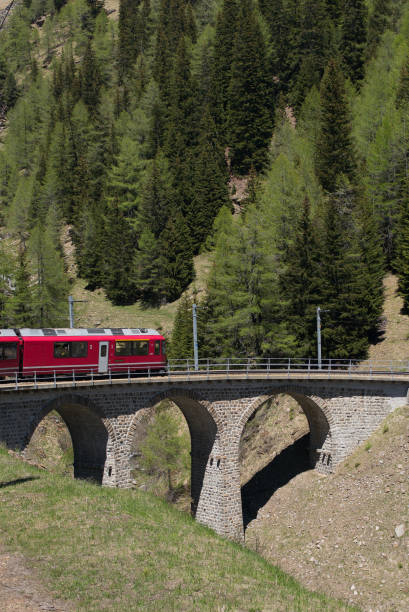 istock Train on a small viaduct bridge  on the Swiss Alps - 1 696322370