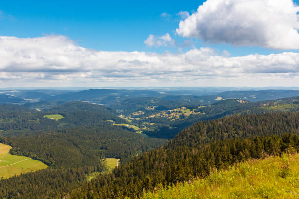 View from a observation deck over the Black Forest, Germany